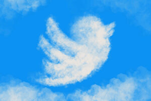 twitter bird icon cloud in the sky