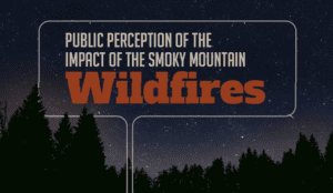 Smoky Mountain Wildfire Perception